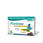 Packshot Plantivox Pastilles 24