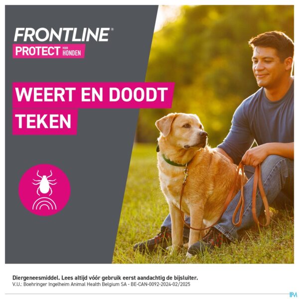 Lifestyle_image Frontline Protect Spot On Opl Hond 20-40kg Pipet 3