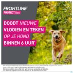 Lifestyle_image Frontline Protect Spot On Opl Hond 20-40kg Pipet 3 Lifestyle_image Frontline Protect Spot On Opl Hond 20-40kg Pipet 3