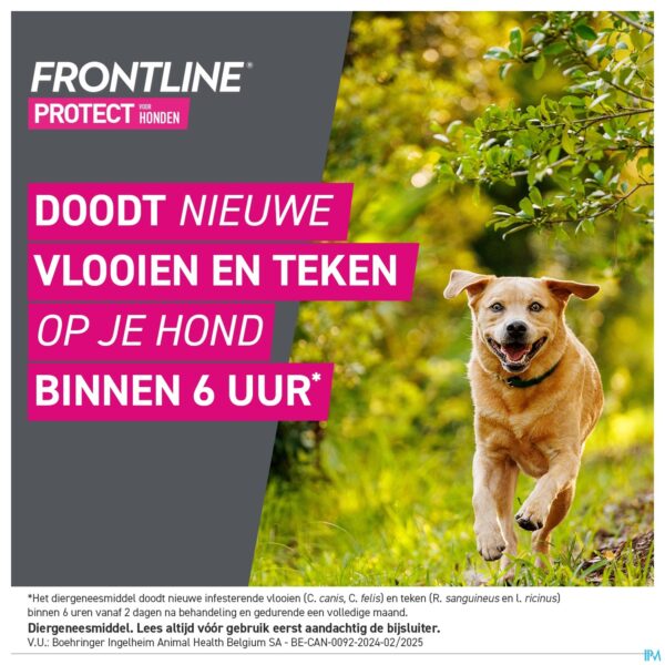Lifestyle_image Frontline Protect Spot On Opl Hond 20-40kg Pipet 3 Lifestyle_image Frontline Protect Spot On Opl Hond 20-40kg Pipet 3