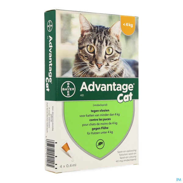 Packshot Advantage 40 Katten