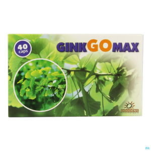Packshot Ginkgomax Caps 40