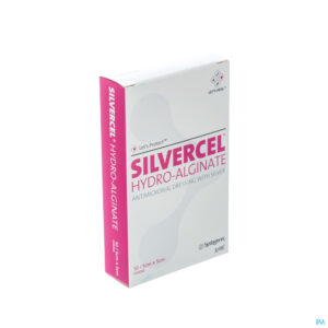 Packshot Silvercel Verb Hydro Algin. 5,0x 5,0cm 10 Cad050