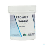 Productshot Choline/inosit Caps 100 Deba