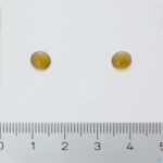 Pillshot D-pearls 1520 Caps 100+20 Promo