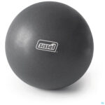 Productshot Sissel Pilates Ball Metalic 22cm Oefenbal Pilates