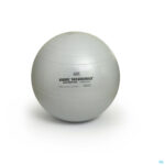Productshot Sissel Ball Securemax Zitbal Diam.65cm Grijs