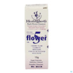 Packshot Healing Herbs 5 Flowers Korrels 15g