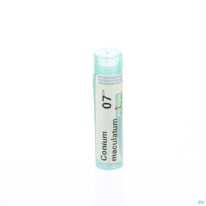 Packshot Conium Maculatum 7ch Gr 4g Boiron