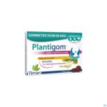 Packshot Plantigom Gummies 24 Nf