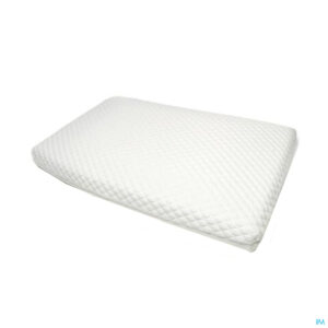Productshot Sissel Dream Comfort Pillow Luxueus Kussen