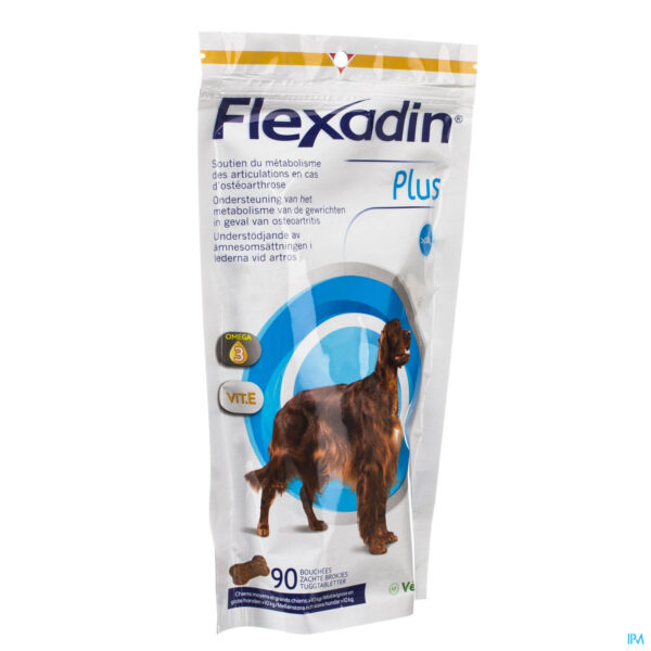 Packshot Flexadin Plus Max Nf Chew 90