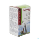 Packshot Fytostar Glucosamine 1500 Tabl 90