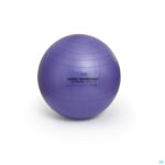 Productshot Sissel Ball Securemax Zitbal Diam.55cm Blauw-paars