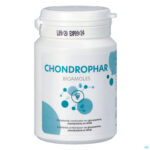 Packshot Chondrophar Pot Comp 60