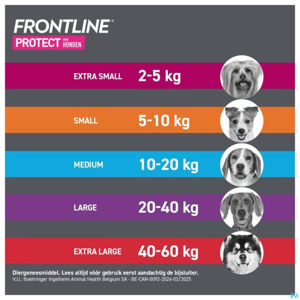 Lifestyle_image Frontline Protect Spot On Opl Hond 2-5kg Pipet 3