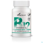 Packshot Soria Vitamine B12+foliumzuur 250mg Tabl 120