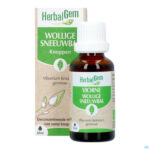 Productshot Herbalgem Sneeuwbal Bio 30ml