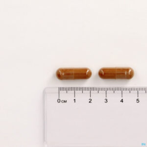 Pillshot Mannavital Diebaton V-caps 60