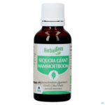 Productshot Herbalgem Mammoetboom Bio 30ml