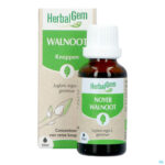 Productshot Herbalgem Walnoot Bio 30ml