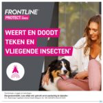 Lifestyle_image Frontline Protect Spot On Opl Hond 2-5kg Pipet 3
