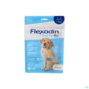 Packshot Flexadin Young Dog Maxi Chew 60