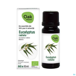 Productshot Oak Ess Olie Eucalyptus Radiata 10ml Bio
