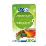 Packshot Biolys Rooibos Groene Thee Sach 24