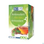 Packshot Biolys Rooibos Groene Thee Sach 24