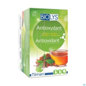 Packshot Biolys Rooibos Groene Thee Sach 24