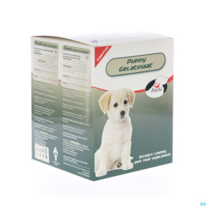 Packshot Primeval Honden Artrose Gelatinaat 2kg