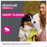 Lifestyle_image Frontline Protect Spot On Opl Hond 5-10kg Pipet 3