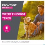 Lifestyle_image Frontline Protect Spot On Opl Hond 10-20kg Pipet 3