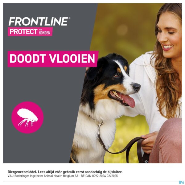Lifestyle_image Frontline Protect Spot On Opl Hond 10-20kg Pipet 3 Lifestyle_image Frontline Protect Spot On Opl Hond 10-20kg Pipet 3