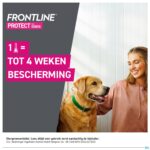 Lifestyle_image Frontline Protect Spot On Opl Hond 10-20kg Pipet 3 Lifestyle_image Frontline Protect Spot On Opl Hond 10-20kg Pipet 3