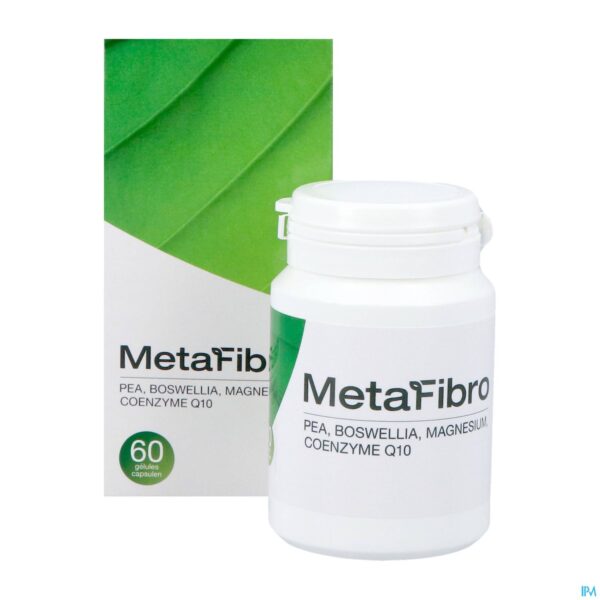 Productshot Metafibro Caps 60 Cbx Medical