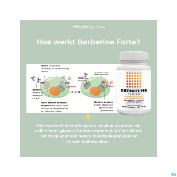 Lifestyle_image Berberine Forte V-caps 60 Pharmanutrics
