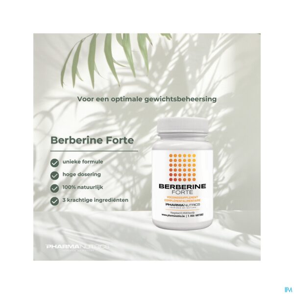 Lifestyle_image Berberine Forte V-caps 60 Pharmanutrics