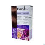 Packshot Flowertint Donker Cacao Blond 6.7 140ml