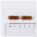 Pillshot Lepivits Regluvits Caps 60