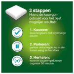 Lifestyle_image Nicorette Freshmint Kauwgom Suikervrij 105x2mg