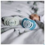 Lifestyle_image Difrax Fopspeen Dynamic Botanic Blue&green 3m+ 2