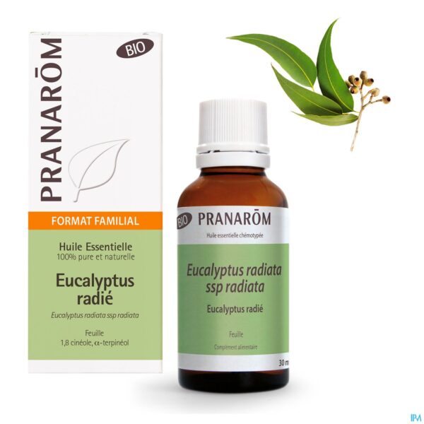 Lifestyle_image Eucalyptus Radie Bio Ess Olie 30ml Pranarom