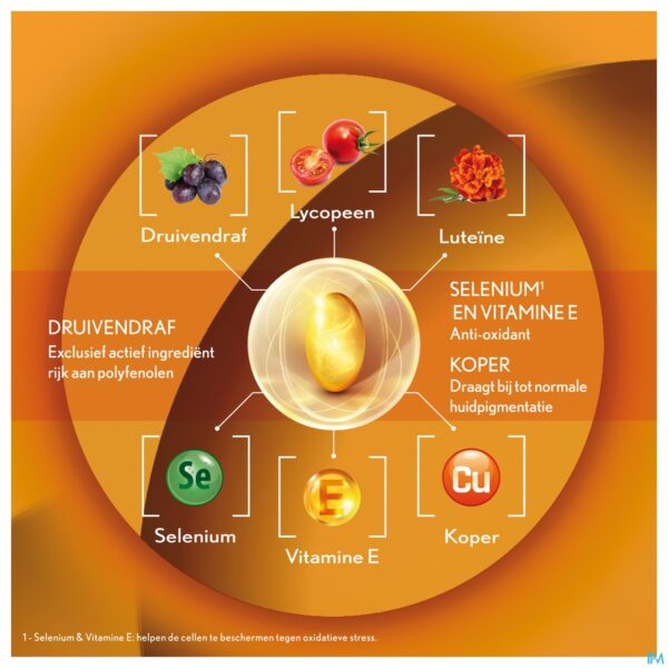 Lifestyle_image Oenobiol Sun Expert Caps 30