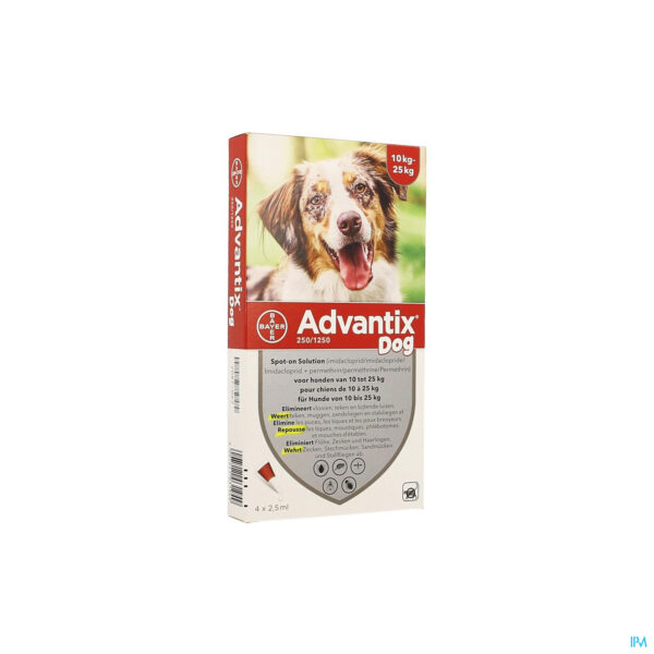Packshot Advantix 250/1250 Honden 10