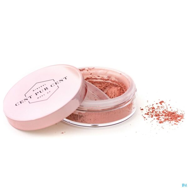 Lifestyle_image Cent Pur Cent Losse Minerale Blush Peche 7g