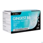 Packshot Gingest B6 Liqui Sticks 20x15ml