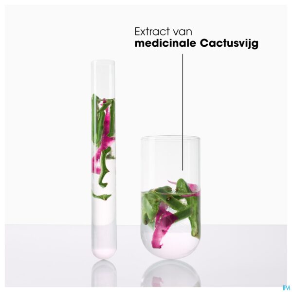 Lifestyle_image Klorane Capil. Conditioner Cactusvijg 200ml Lifestyle_image Klorane Capil. Conditioner Cactusvijg 200ml