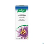 Packshot A.vogel Passiflora Rustgevende Druppels 100ml